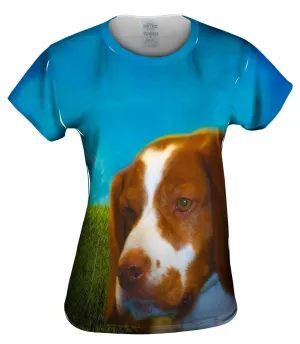 Brave Brown Spaniel