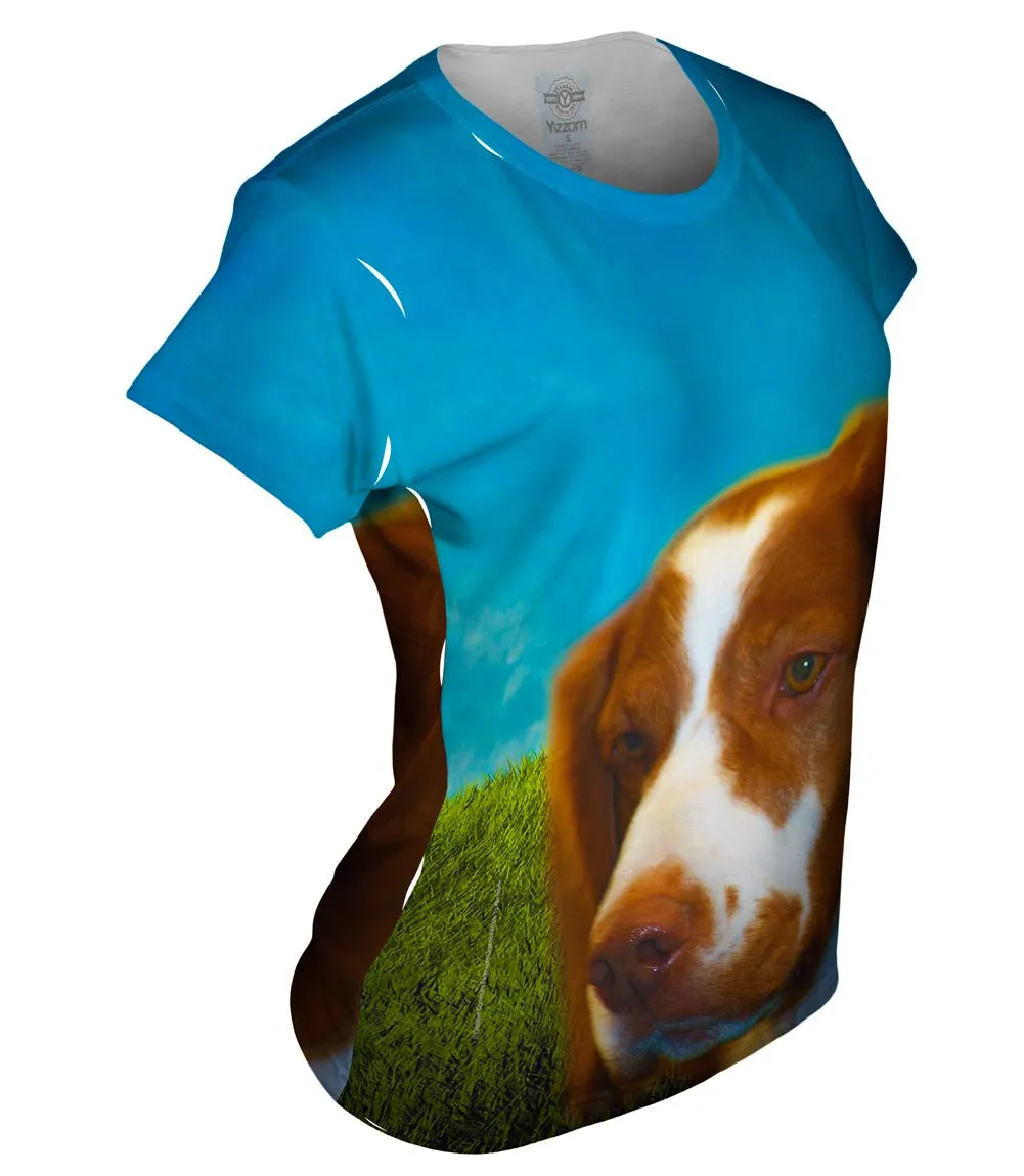 Brave Brown Spaniel