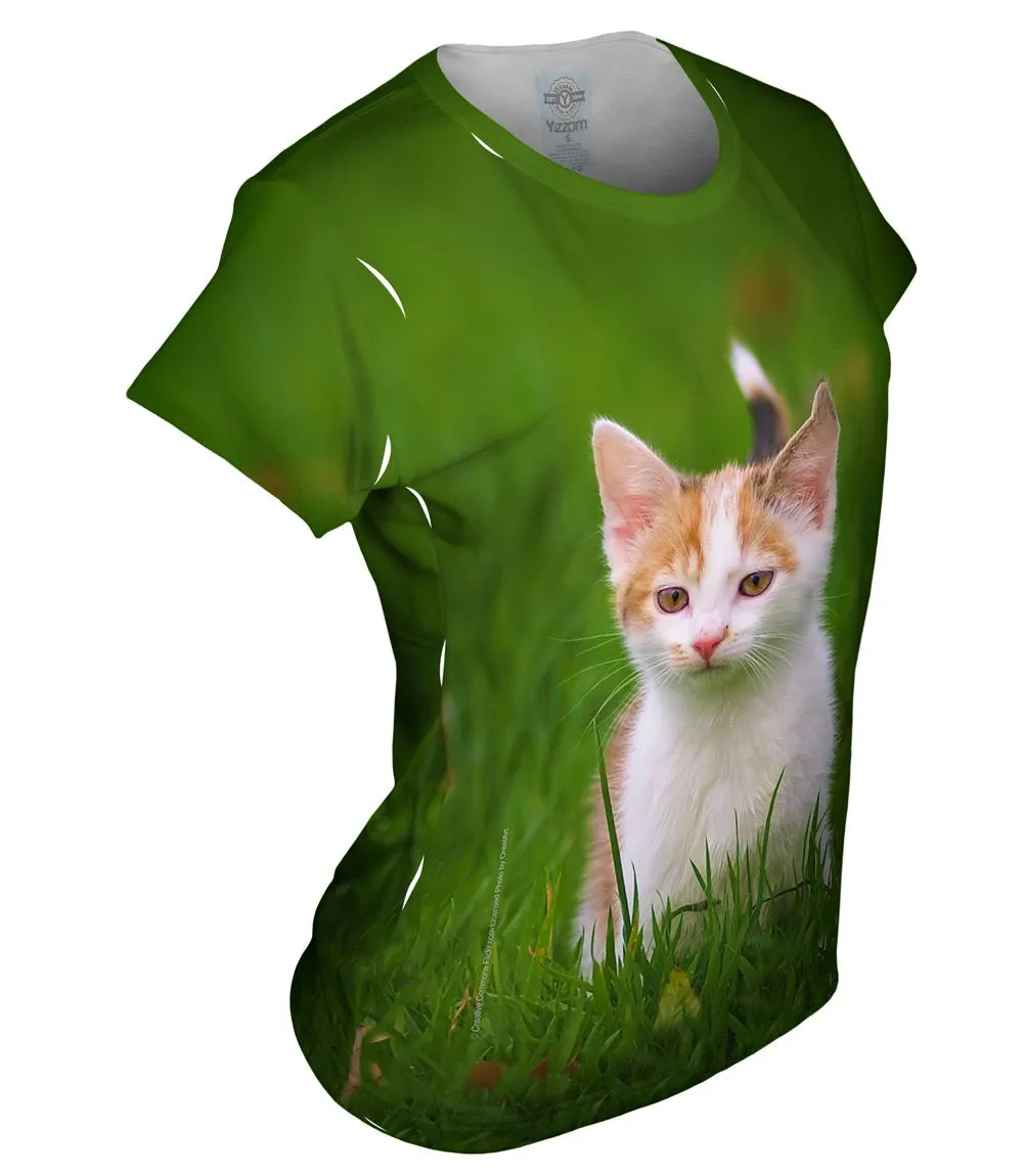 Cute As A Button Kitty Cat