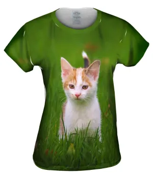 Cute As A Button Kitty Cat