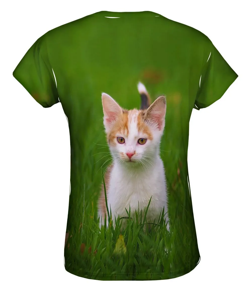 Cute As A Button Kitty Cat