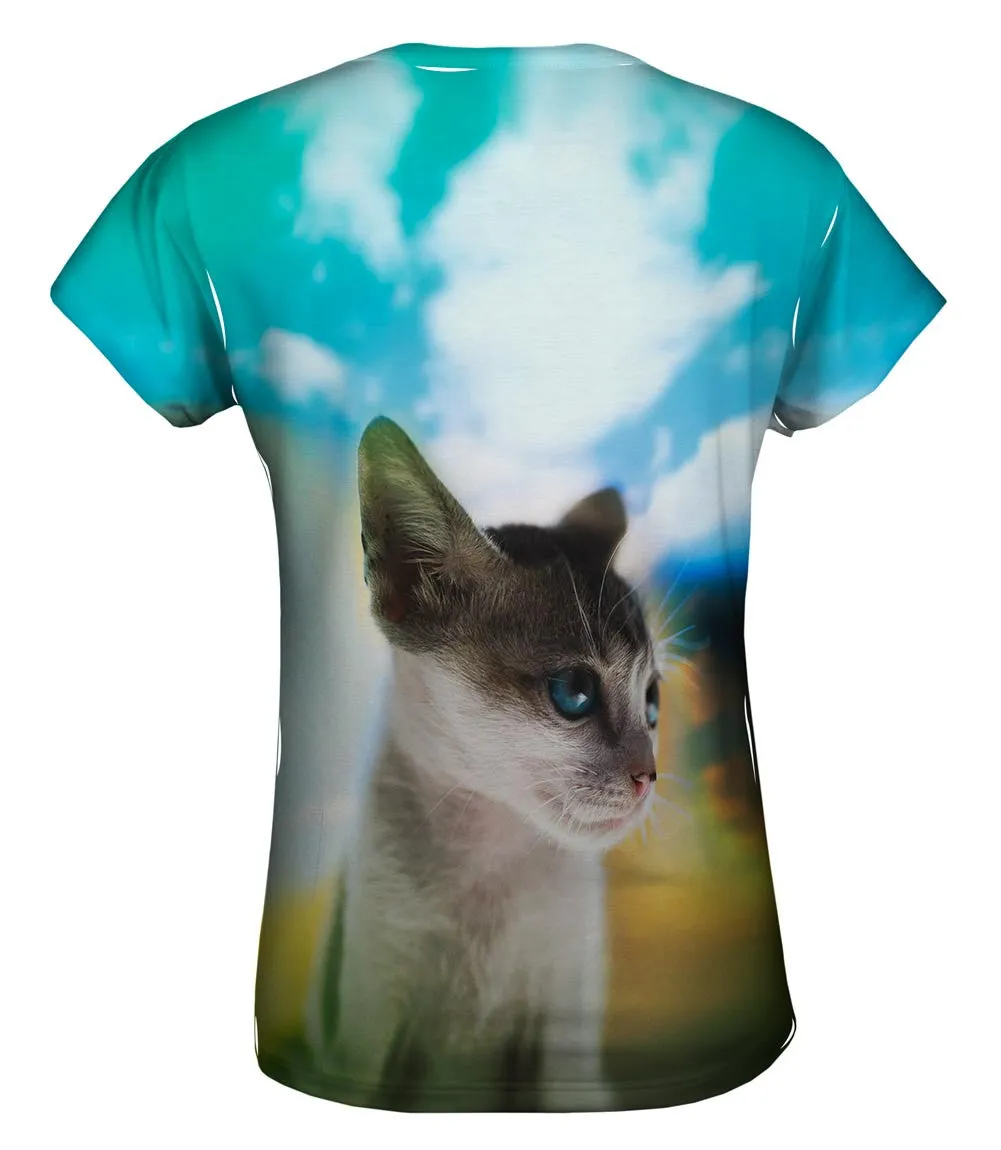 Dream Kitten