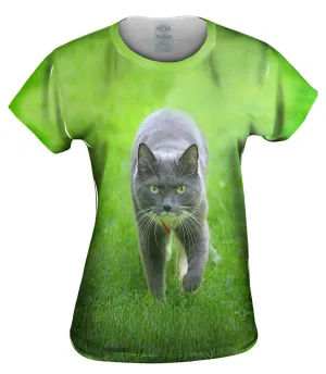 Ferocious Grey Cat