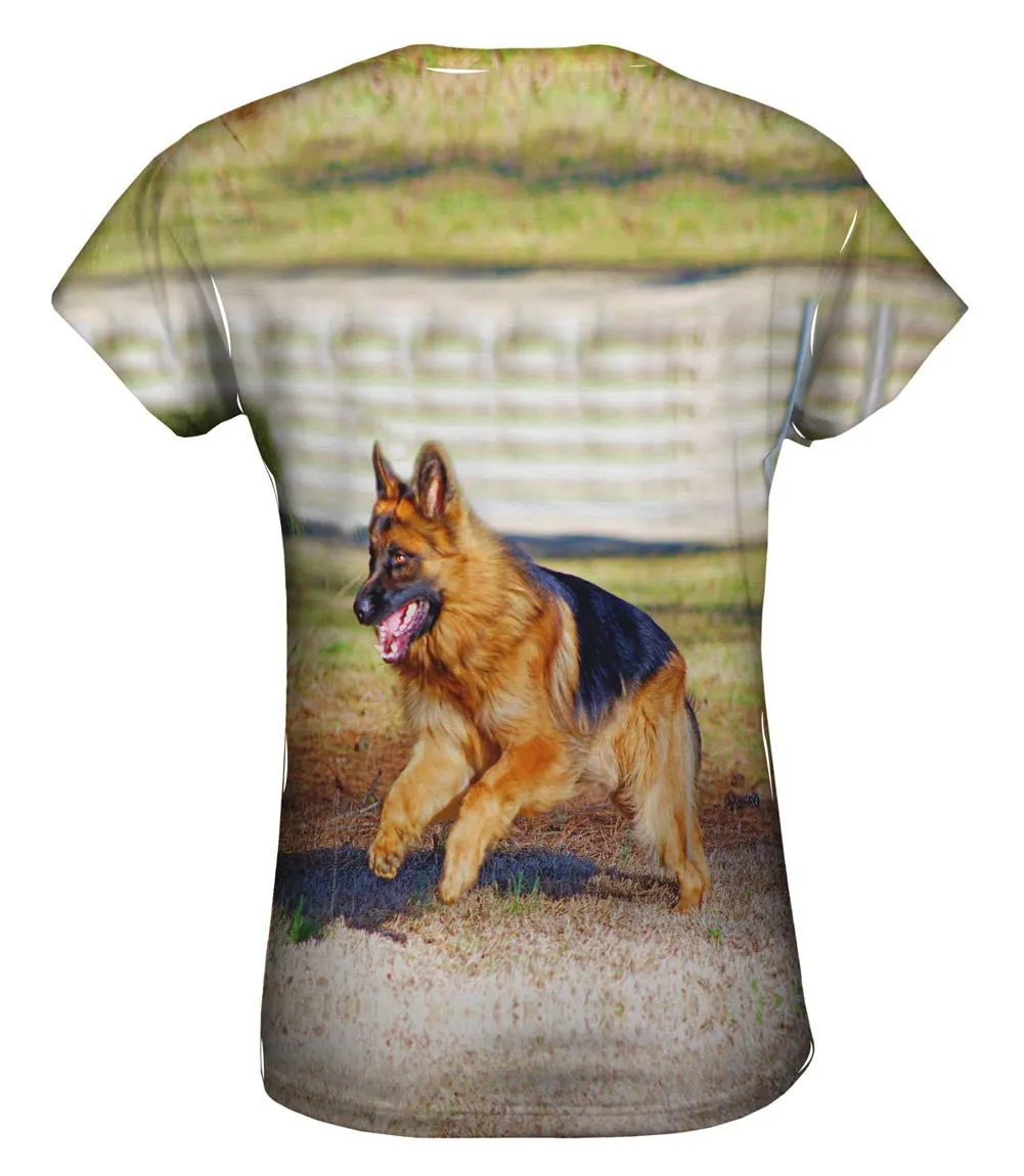 German Sheperd Jump