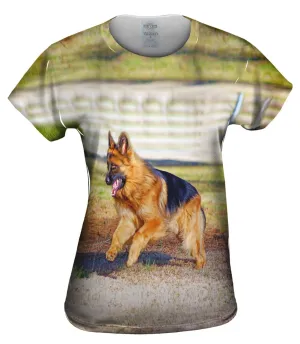 German Sheperd Jump