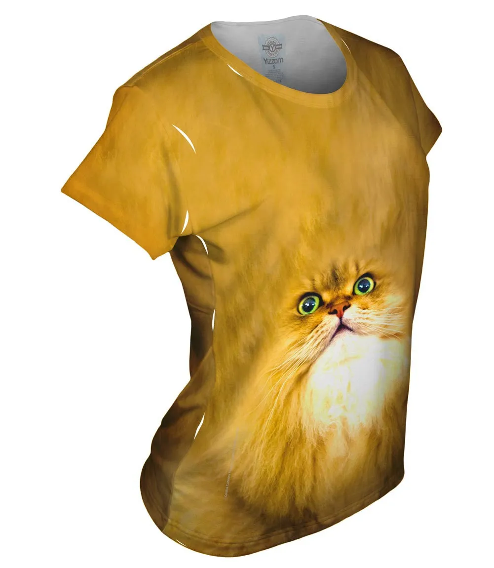 Soft Cat