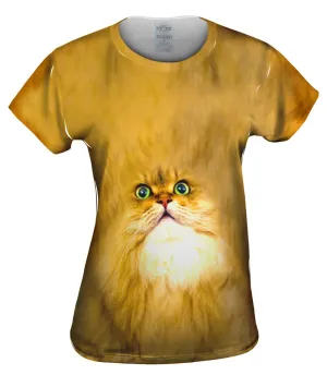 Soft Cat