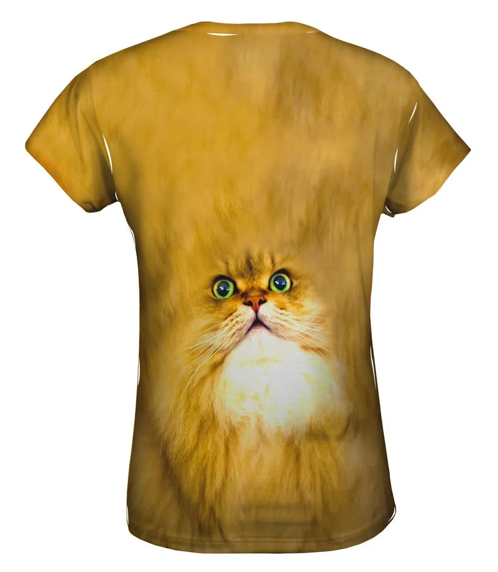 Soft Cat